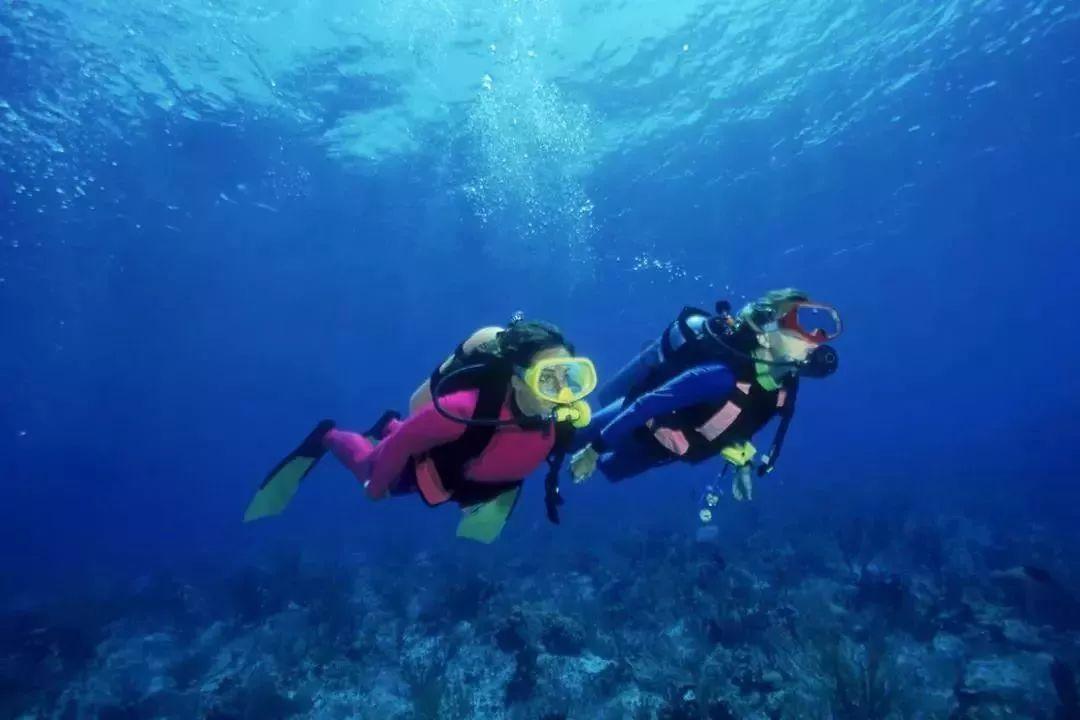 名流设计