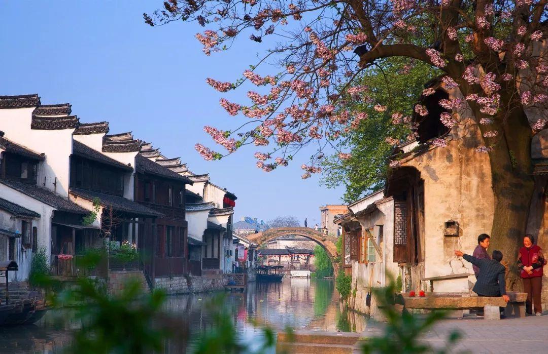 解答专业问题,尽在天水市清明节为什么不放假?问答社区